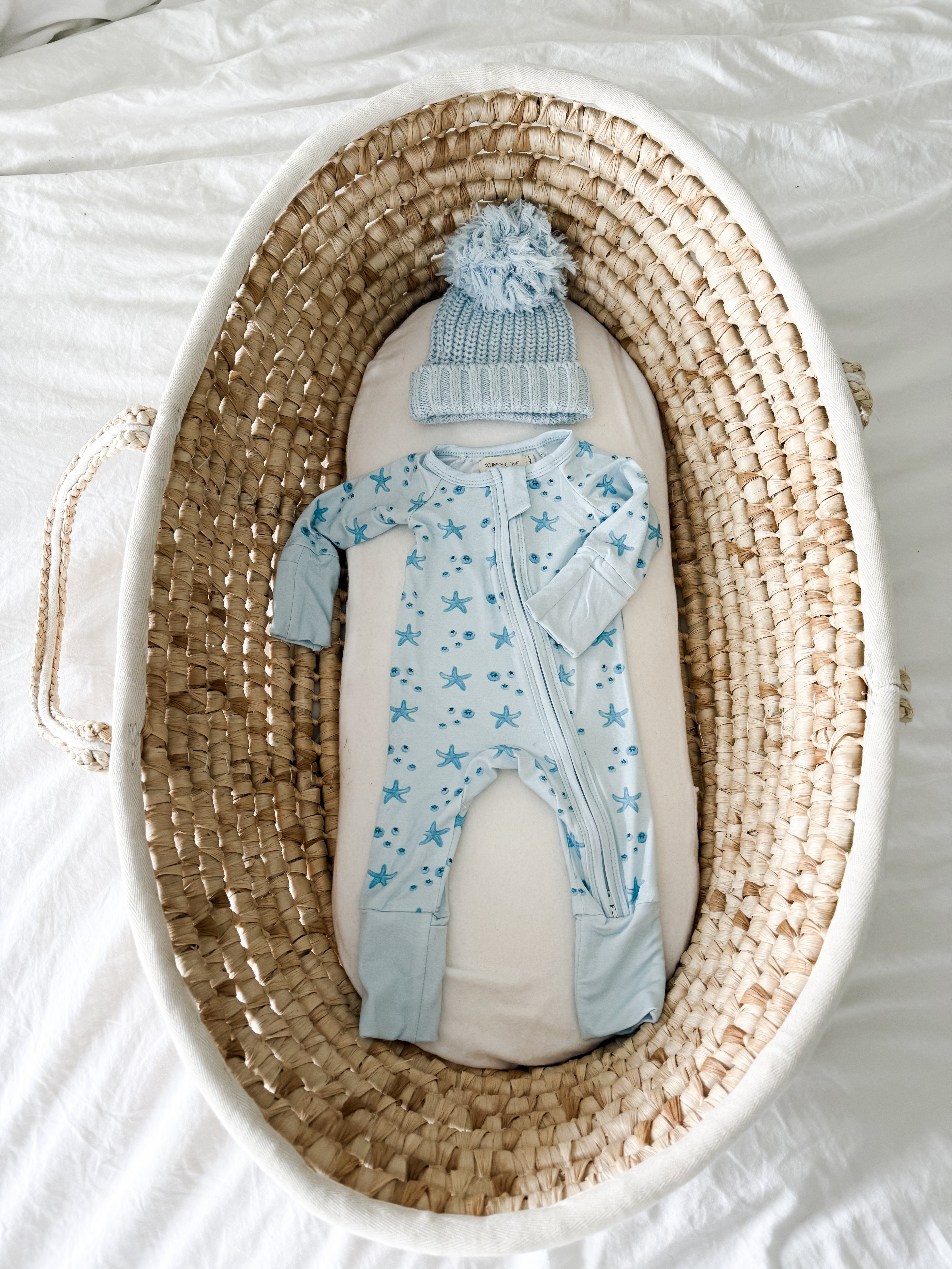 Seaberry Bundle