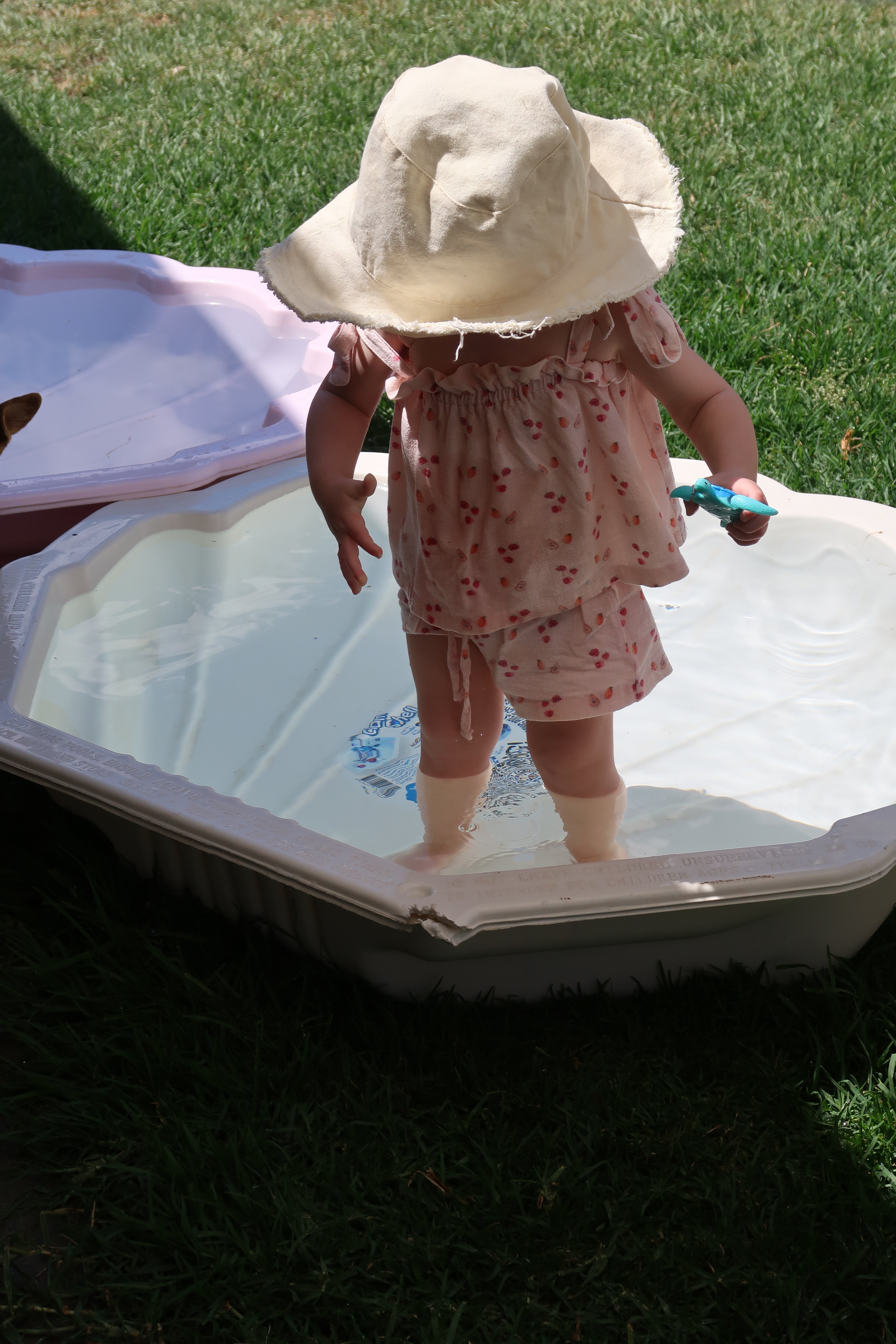 OCEA Set - Summerberry