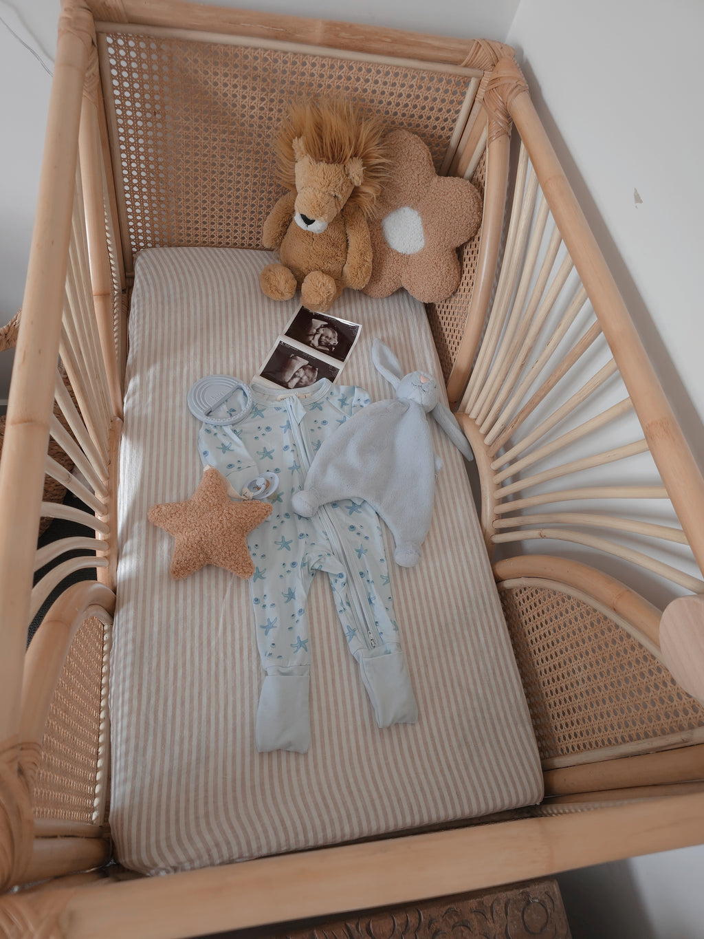 Teddy Star Pacifier Holder