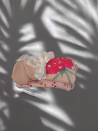 Summerberry Bundle